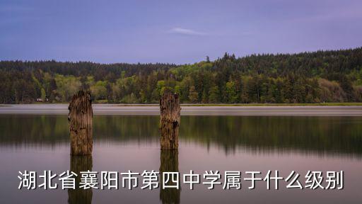 湖北省襄陽市第四中學屬于什么級別
