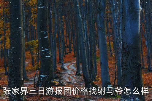 張家界三日游報團(tuán)價格找駙馬爺怎么樣