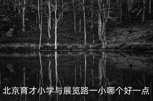 北京育才小學(xué)與展覽路一小哪個好一點