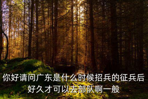 你好請問廣東是什么時候招兵的征兵后好久才可以去部隊啊一般