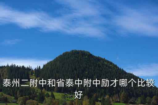 泰州二附中和省泰中附中勵才哪個比較好