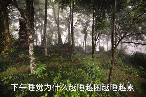 下午睡覺為什么越睡越困越睡越累
