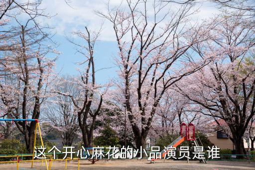 開心麻花吳江，開心麻花爆笑演繹男大當(dāng)婚誰(shuí)演的
