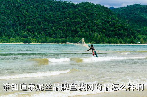 誰(shuí)知道泰妮絲品牌童裝網(wǎng)商品怎么樣啊