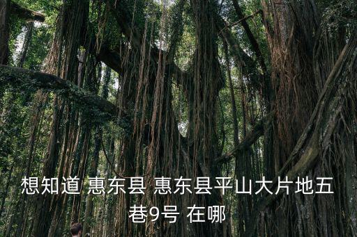 惠東平山，想知道 惠東縣 惠東縣平山大片地五巷9號 在哪