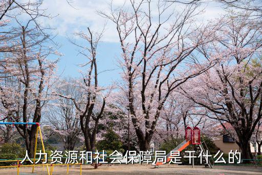 人力資源和社會保障局是干什么的