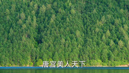 唐宮，唐宮美人天下