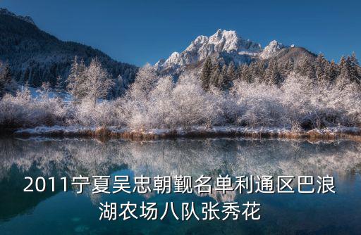 2011寧夏吳忠朝覲名單利通區巴浪湖農場八隊張秀花