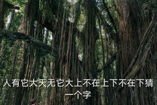 人有它大天無它大上不在上下不在下猜一個字