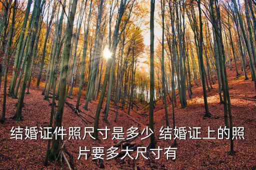 結(jié)婚證件照尺寸是多少 結(jié)婚證上的照片要多大尺寸有