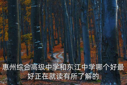 惠州綜合高級中學和東江中學哪個好最好正在就讀有所了解的