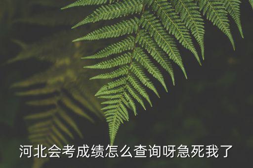 河北會考成績怎么查詢呀急死我了