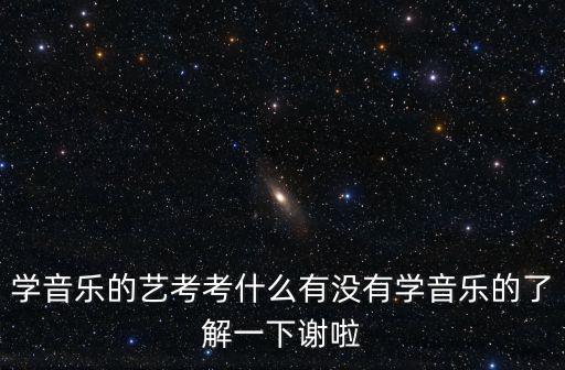 學音樂的藝考考什么有沒有學音樂的了解一下謝啦