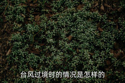 臺風(fēng)過境時的情況是怎樣的