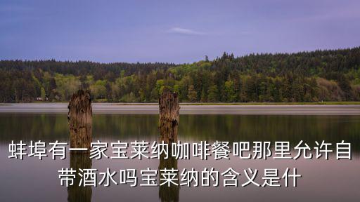 蚌埠有一家寶萊納咖啡餐吧那里允許自帶酒水嗎寶萊納的含義是什
