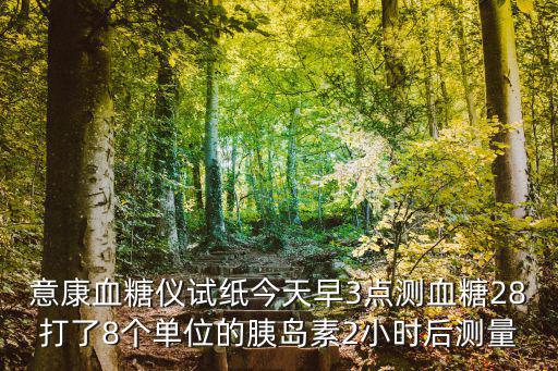 意康血糖儀試紙今天早3點測血糖28打了8個單位的胰島素2小時后測量