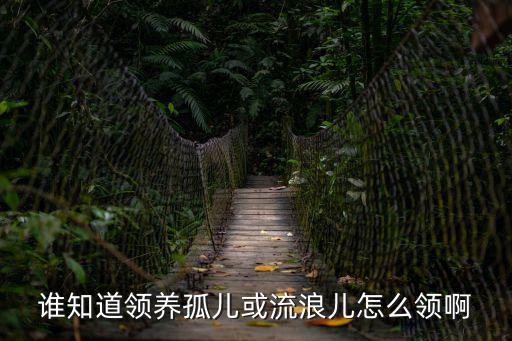誰知道領養孤兒或流浪兒怎么領啊