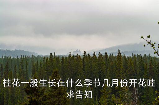 桂花一般生長在什么季節幾月份開花哇求告知