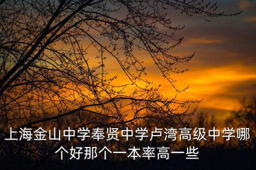 上海金山中學(xué)奉賢中學(xué)盧灣高級(jí)中學(xué)哪個(gè)好那個(gè)一本率高一些