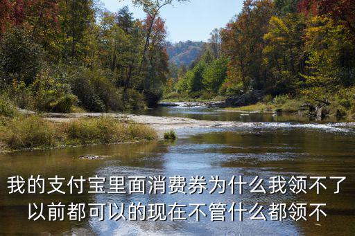 支付寶消費券，支付寶消費券是怎么搶的怎么使用