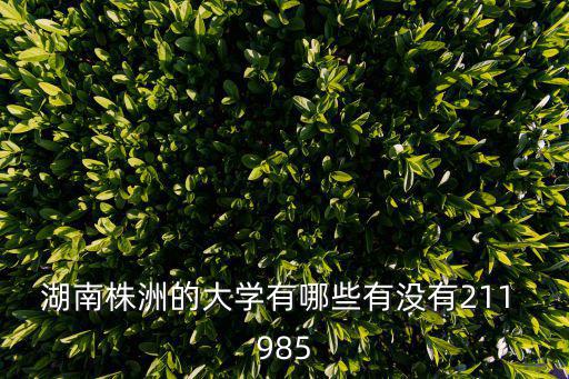 湖南株洲的大學有哪些有沒有211 985