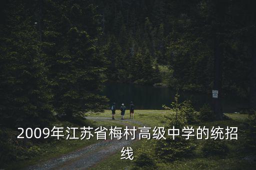 江蘇省梅村高級中學，2009年江蘇省梅村高級中學的統招線