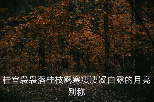 桂宮，桂宮在古代是什么
