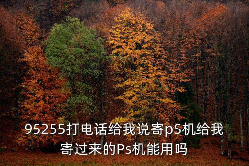 95255打電話給我說寄pS機(jī)給我寄過來的Ps機(jī)能用嗎