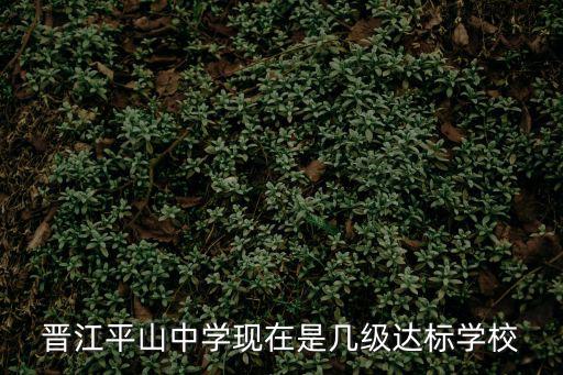 晉江平山中學(xué)現(xiàn)在是幾級達(dá)標(biāo)學(xué)校