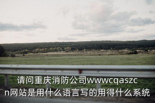 重慶消防官網，請問重慶消防公司wwwcqaszcn網站是用什么語言寫的用得什么系統