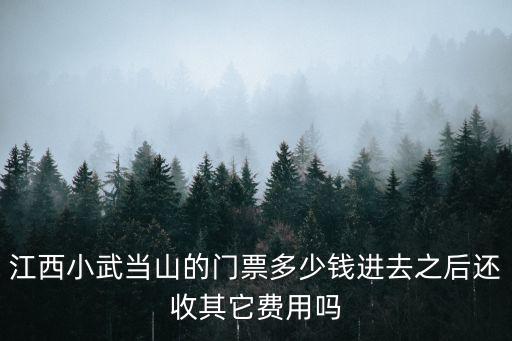 江西小武當(dāng)山的門票多少錢進(jìn)去之后還收其它費(fèi)用嗎