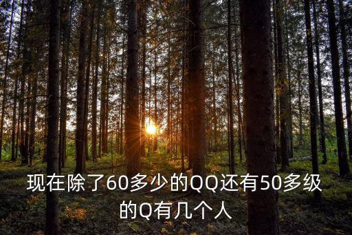 現在除了60多少的QQ還有50多級的Q有幾個人