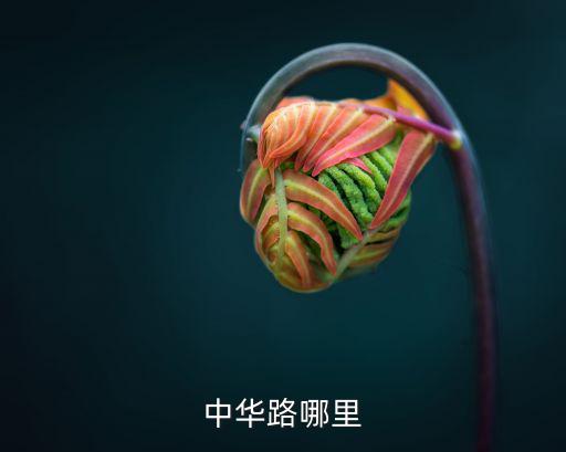 中華道，中華路哪里