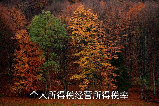 個人所得稅經營所得稅率