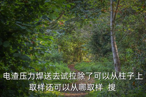 電渣壓力焊送去試拉除了可以從柱子上取樣還可以從哪取樣  搜