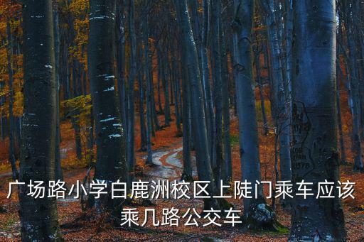 廣場路小學白鹿洲校區上陡門乘車應該乘幾路公交車
