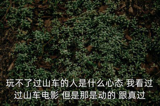 玩不了過山車的人是什么心態 我看過過山車電影 但是那是動的 跟真過