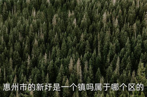 惠州市的新圩是一個鎮嗎屬于哪個區的