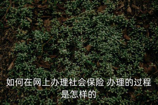 如何在網上辦理社會保險 辦理的過程是怎樣的