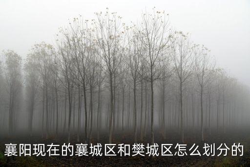 襄陽現在的襄城區和樊城區怎么劃分的