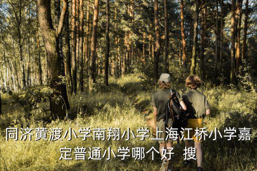 同濟黃渡小學南翔小學上海江橋小學嘉定普通小學哪個好  搜