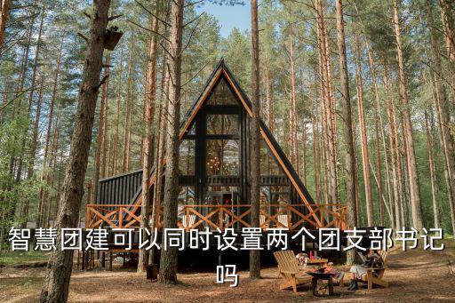 智能團建，智慧團建一個人可以同時是兩個團支部的團干部嗎
