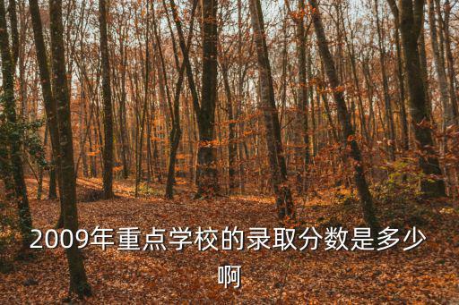 2009年重點學校的錄取分數是多少啊