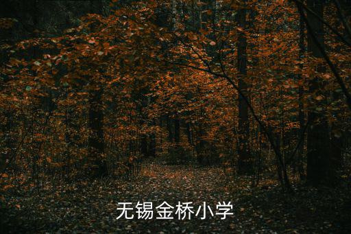無(wú)錫金橋小學(xué)