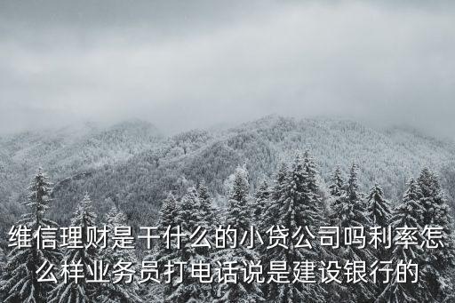 維信理財，維信是干什么用的