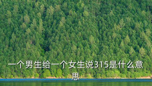 一個男生給一個女生說315是什么意思