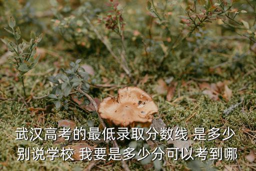 武漢高考的最低錄取分數線 是多少 別說學校 我要是多少分可以考到哪
