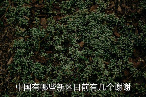 城市發展新區，家建設衛星城開發新區的衛星城和新區各是什么