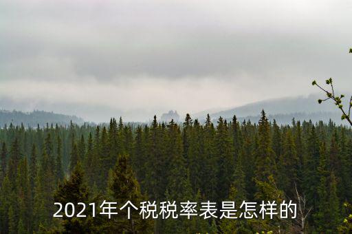 2021年個稅稅率表是怎樣的