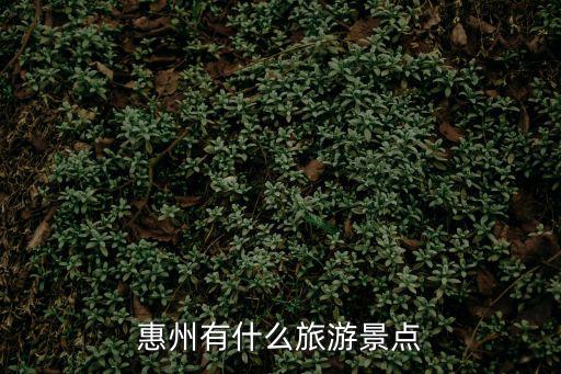 惠州旅游景點，惠州有什么旅游景點
